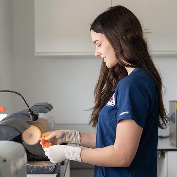 WordPress Dentist Website Template Preview